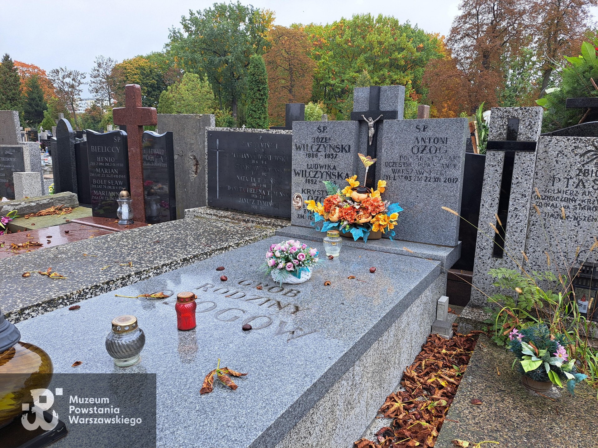 Źródło: Agnieszka Nowak.