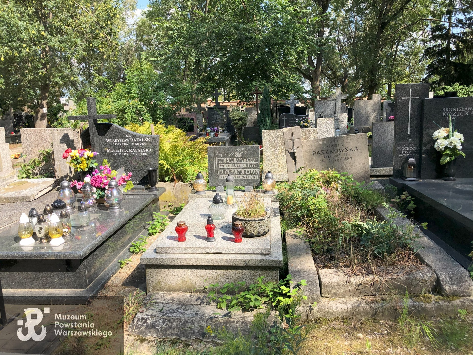 Źródło: Dorota Kotowska.