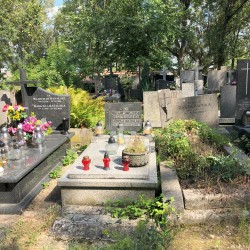 Źródło: Dorota Kotowska.