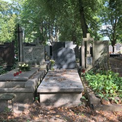 Źródło: Dorota Kotowska.