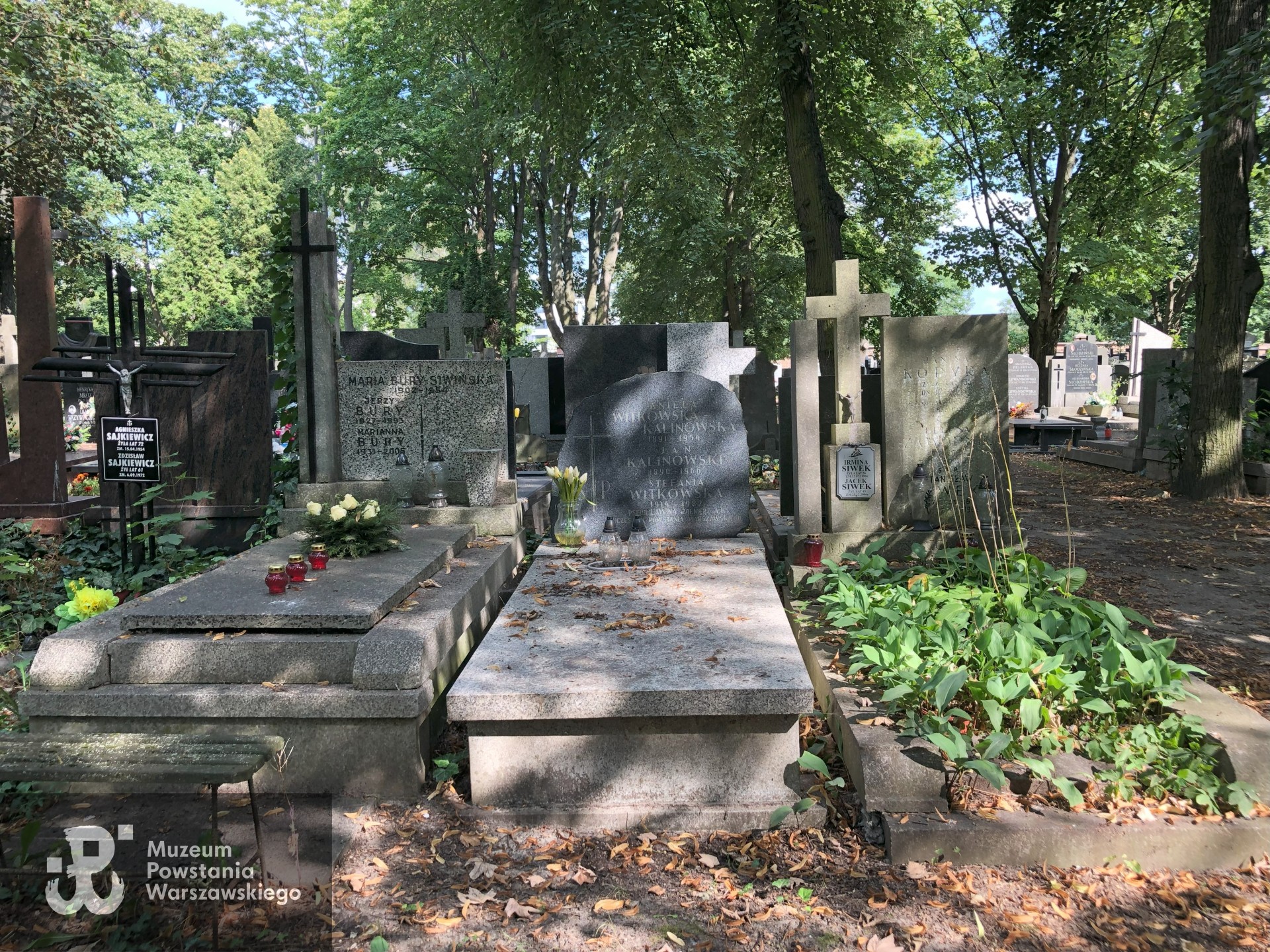 Źródło: Dorota Kotowska.