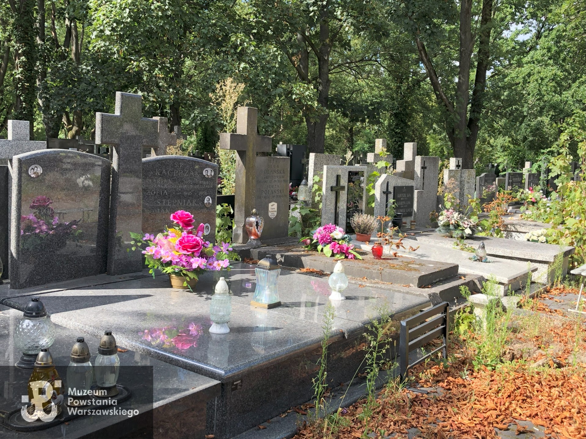 Źródło: Dorota Kotowska.