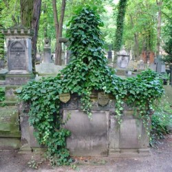 Źródło: https://cmentarze.um.warszawa.pl/pomnik.aspx?pom_id=2291 [dostęp: 16.10.2025].