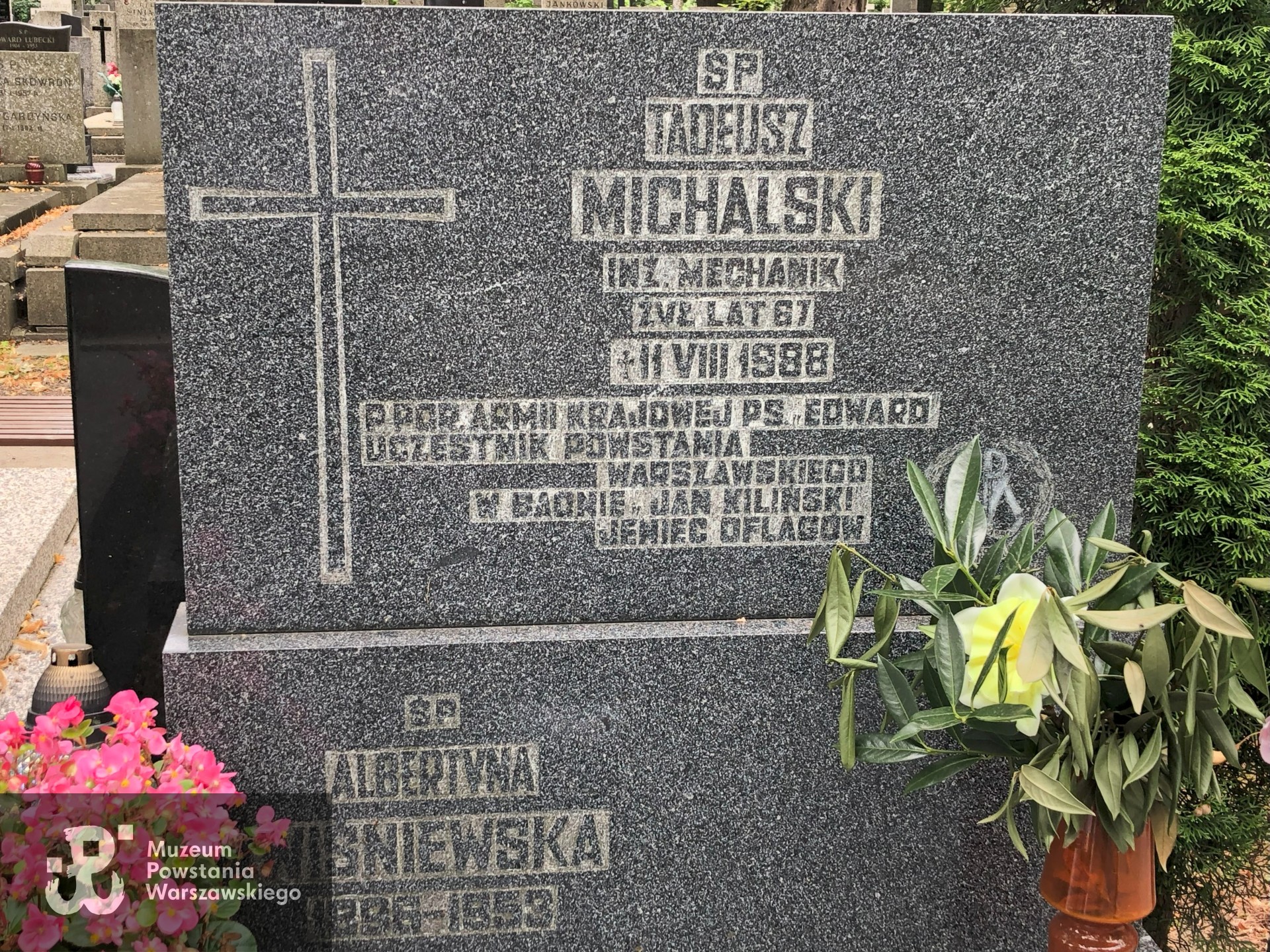 Źródło: Dorota Kotowska.