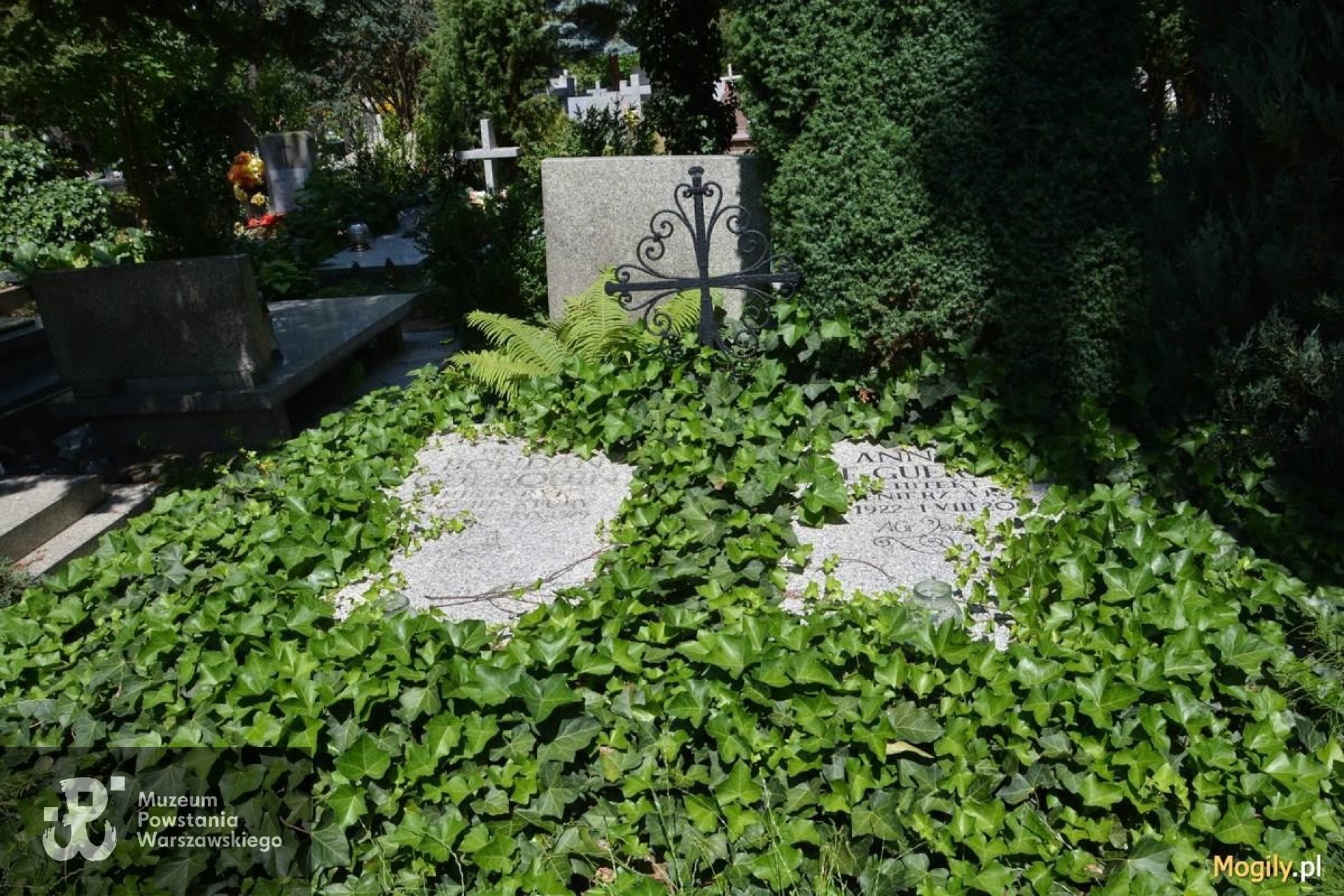 Źródło: http://mogily.pl/swrodzinywroclaw/boye-guerquinanna_666034 [dostęp: 02.07.2026].