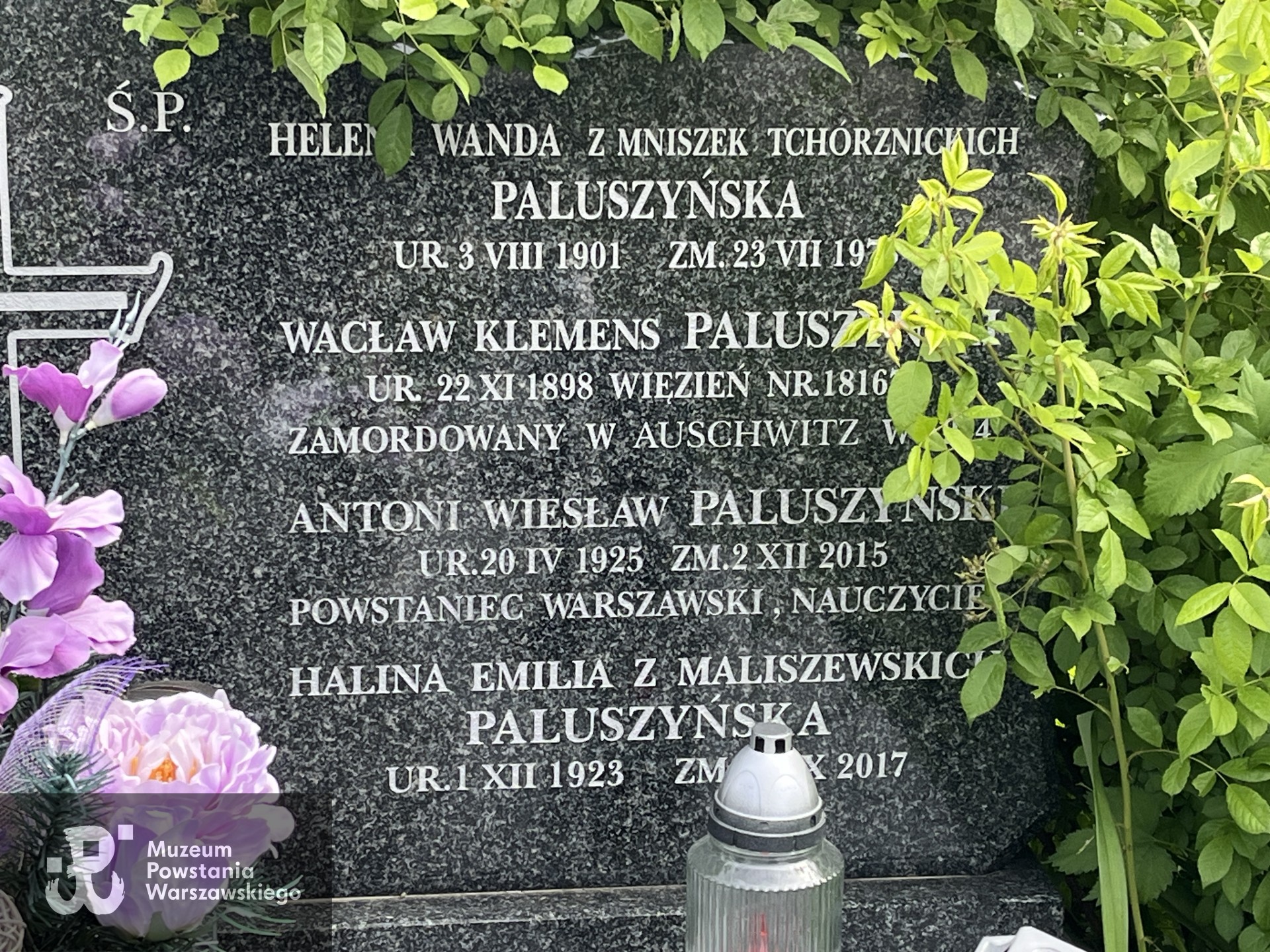 Źródło: Ryszard Mączewski.