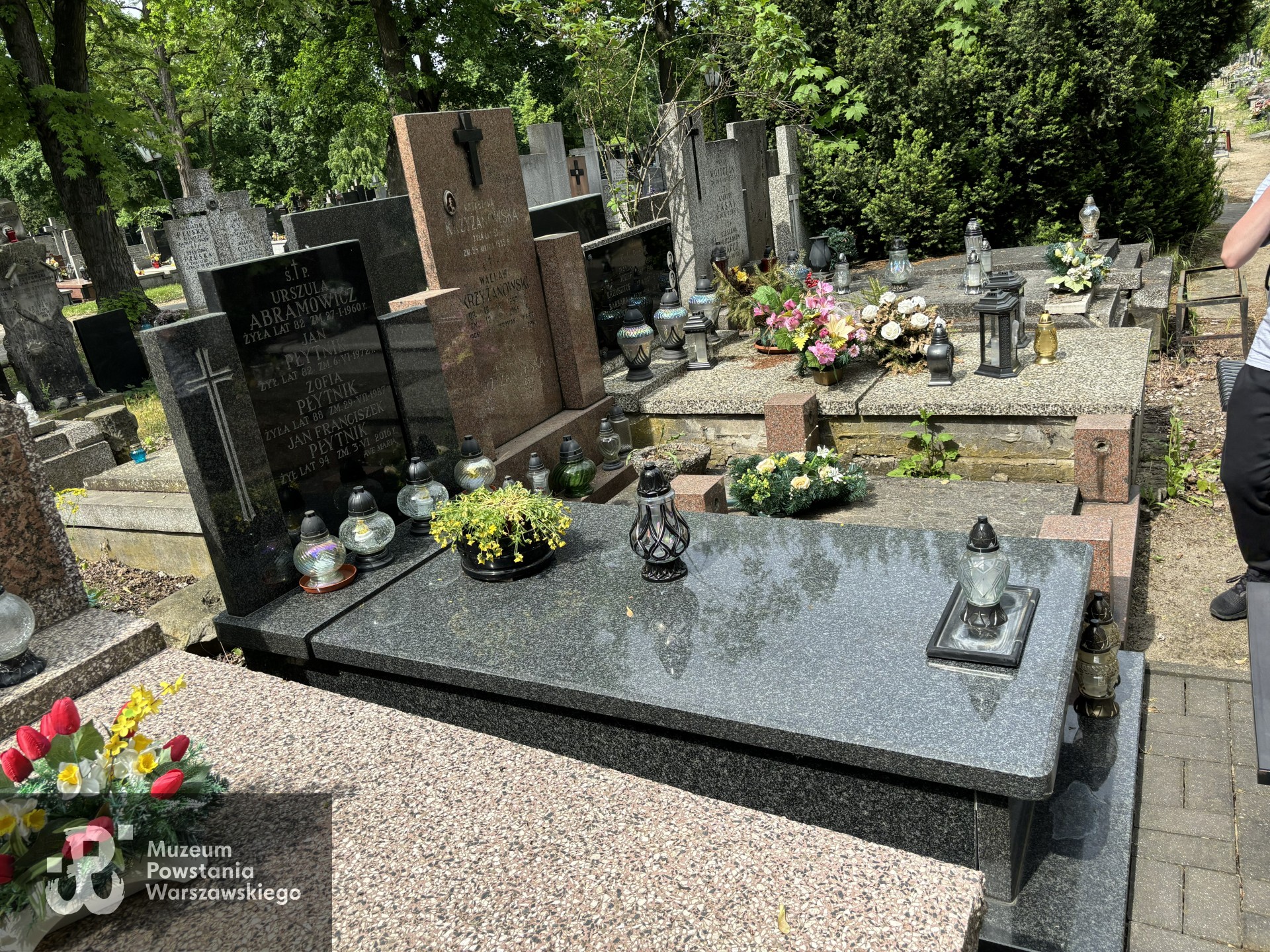 Źródło: VIII Liceum Ogólnokształcące im. Władysława IV w Warszawie.