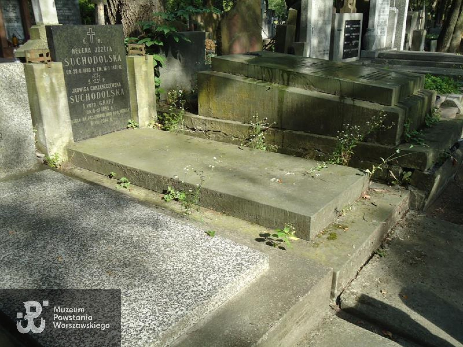 Źródło: https://cmentarze.um.warszawa.pl/pomnik.aspx?pom_id=47653 [dostęp: 9.04.2025].