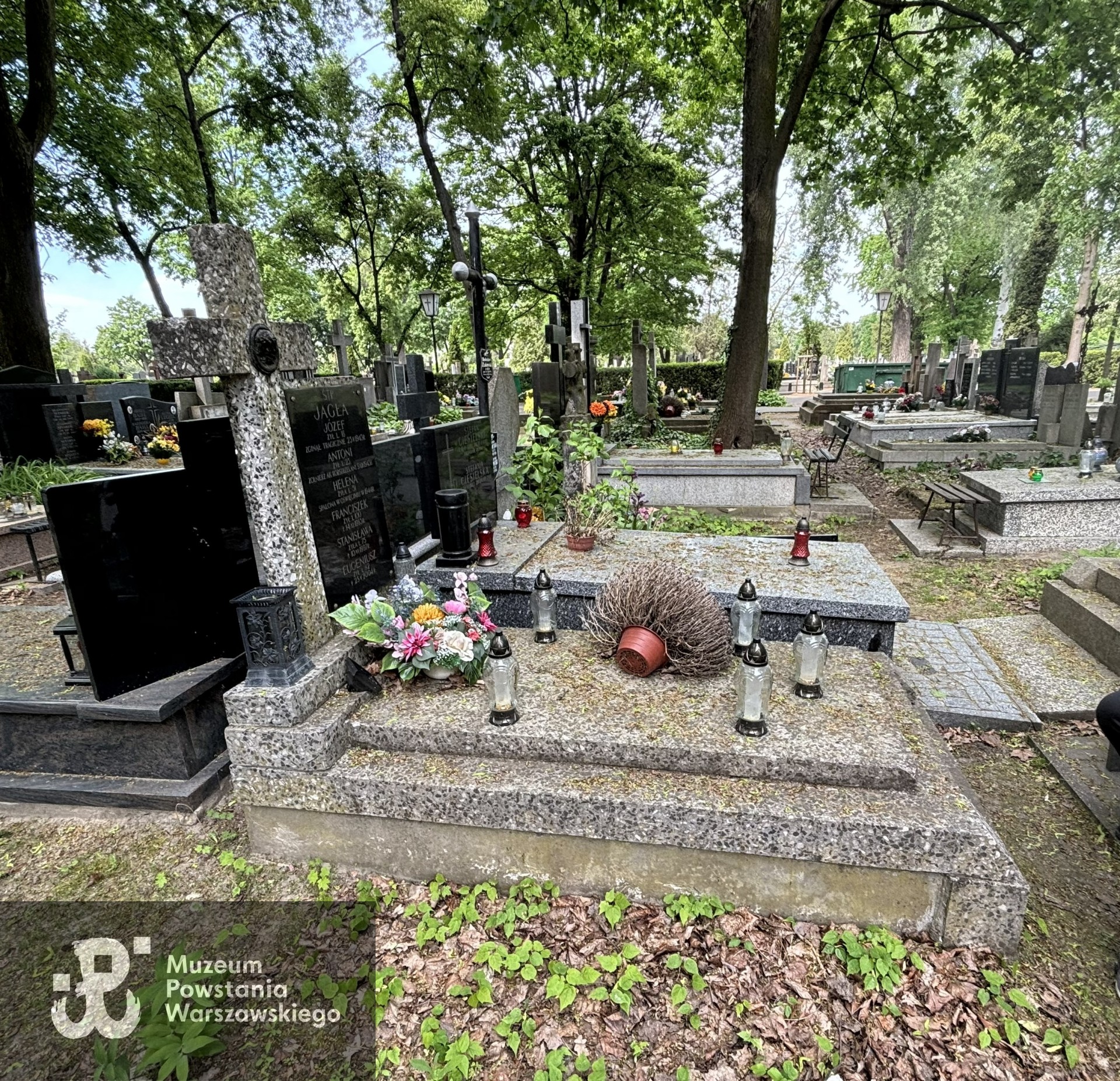 Źródło: VIII Liceum Ogólnokształcące im. Władysława IV w Warszawie.