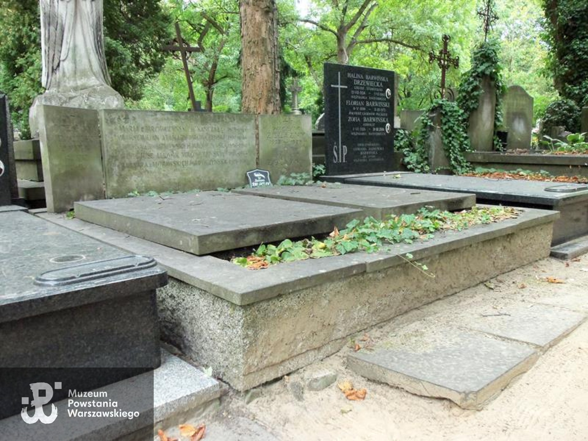 Źródło: https://cmentarze.um.warszawa.pl/pomnik.aspx?pom_id=37800 [dostęp: 10.04.2025].