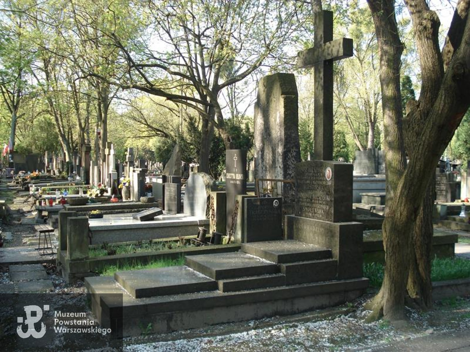 Źródło: https://cmentarze.um.warszawa.pl/pomnik.aspx?pom_id=35772 [dostęp: 8.06.2026].