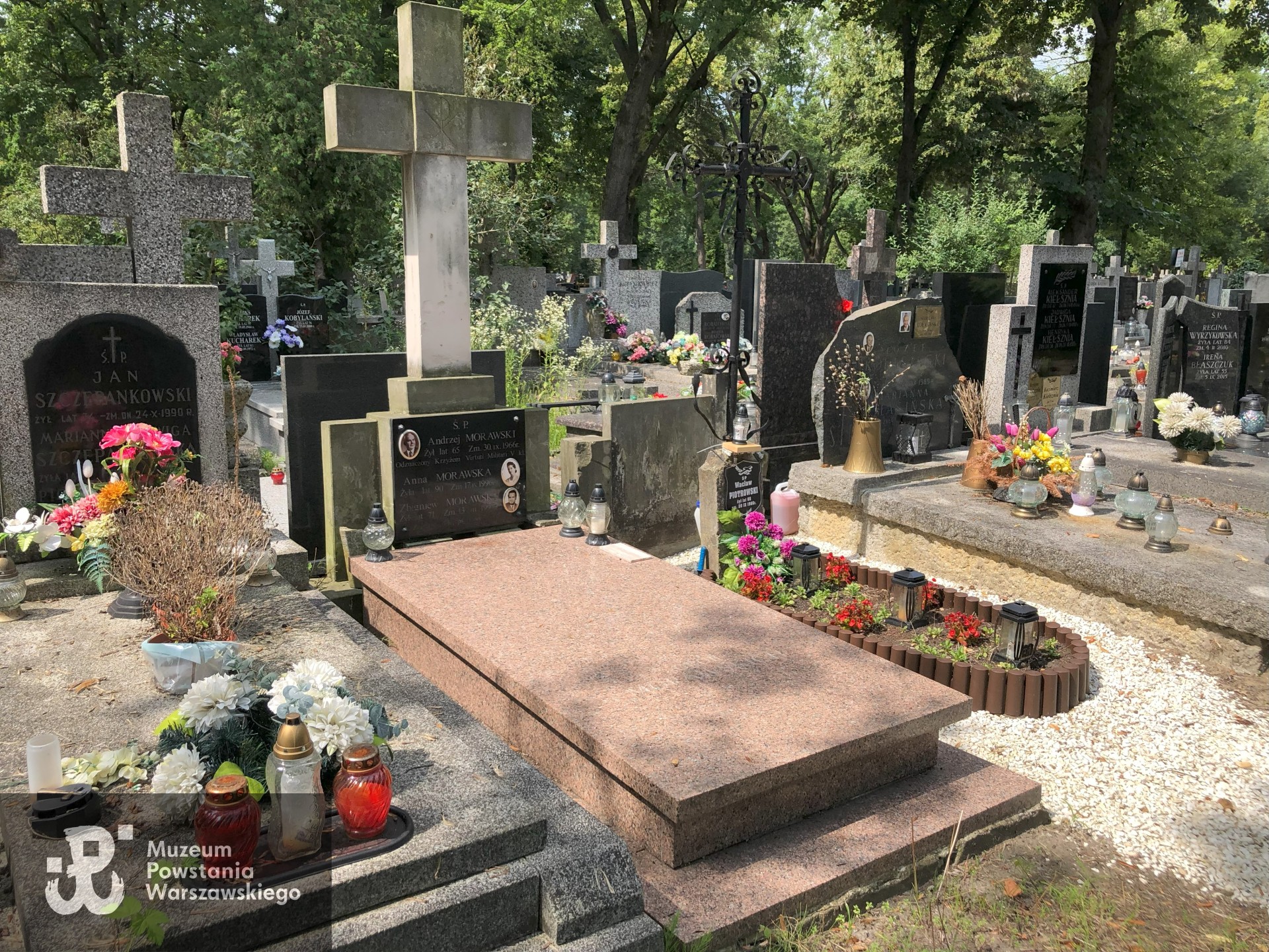 Źródło: Dorota Kotowska.