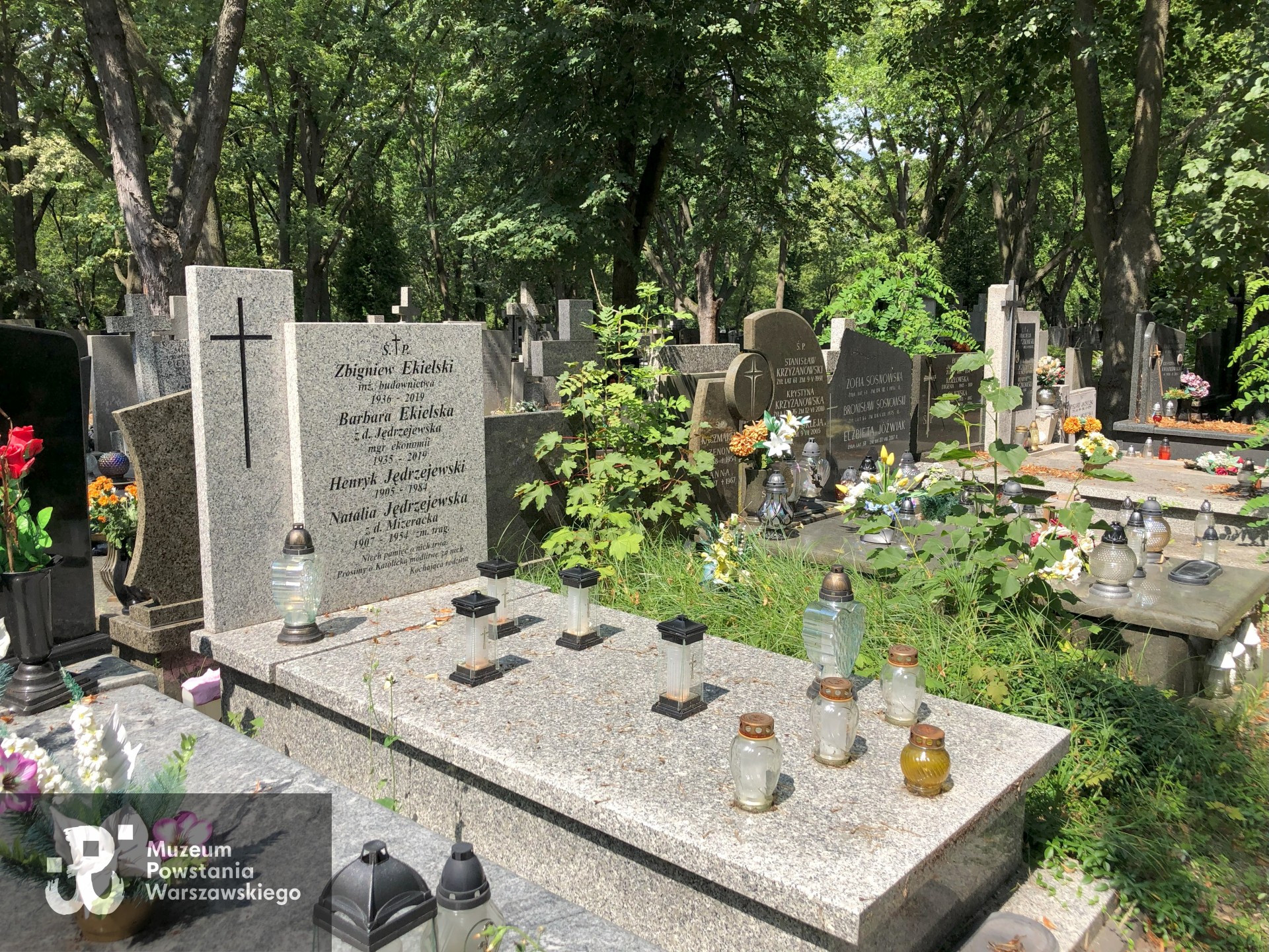 Źródło: Dorota Kotowska, Agnieszka Nowak.