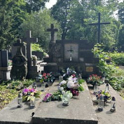 Źródło: VIII Liceum Ogólnokształcące im. Władysława IV w Warszawie.