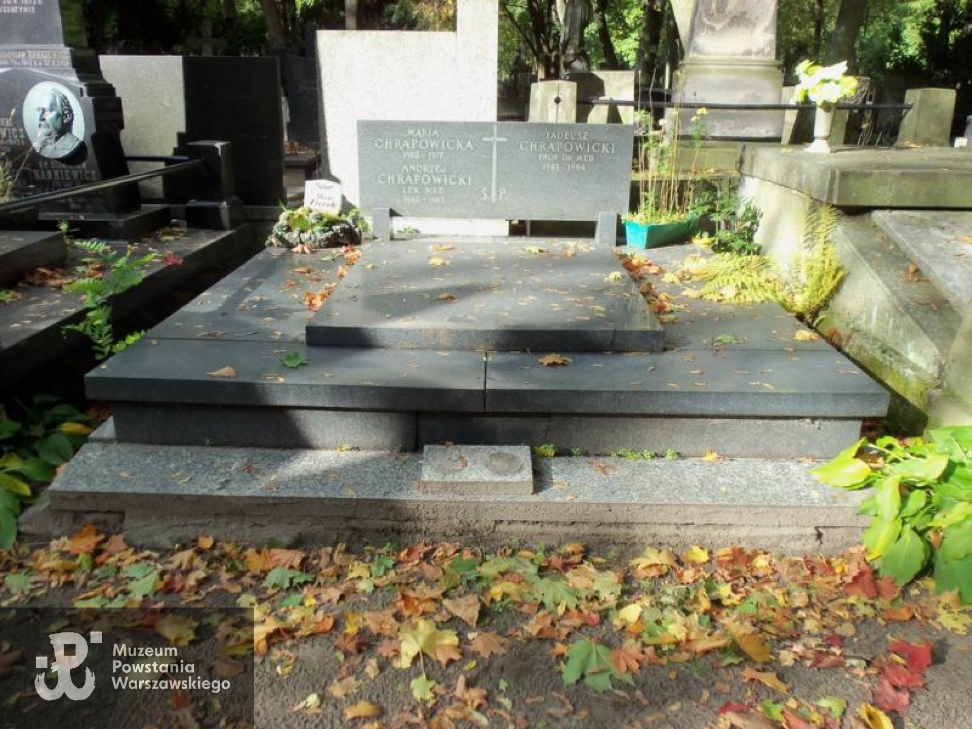 Źródło: https://cmentarze.um.warszawa.pl/pomnik.aspx?pom_id=24142 [dostęp: 16.10.2025].