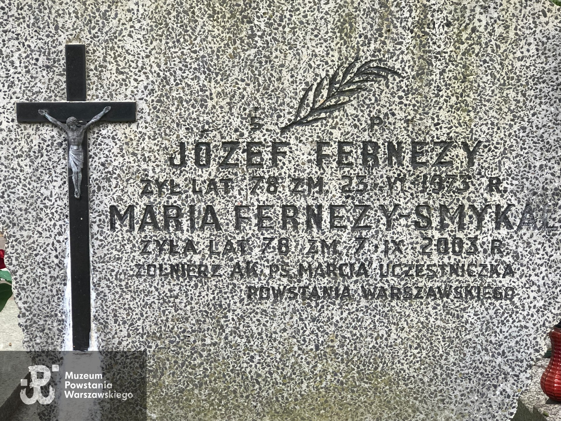 Źródło: Dorota Kotowska.