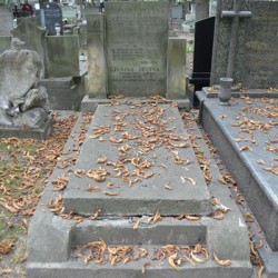 Grób na Starych Powązkach. Źródło: https://cmentarze.um.warszawa.pl/pomnik.aspx?pom_id=54094 [dostęp: 10.02.2026].