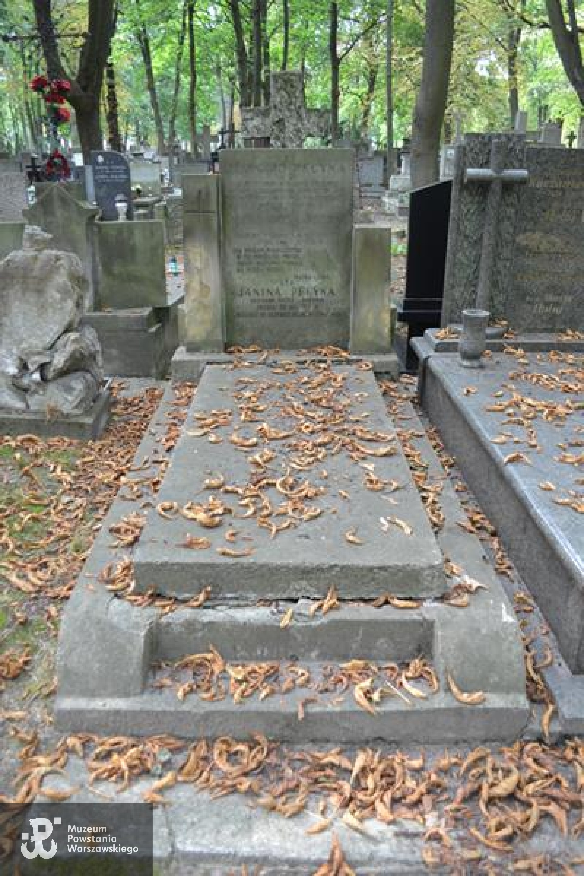 Grób na Starych Powązkach. Źródło: https://cmentarze.um.warszawa.pl/pomnik.aspx?pom_id=54094 [dostęp: 10.02.2026].