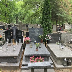 Źródło: Dorota Kotowska.