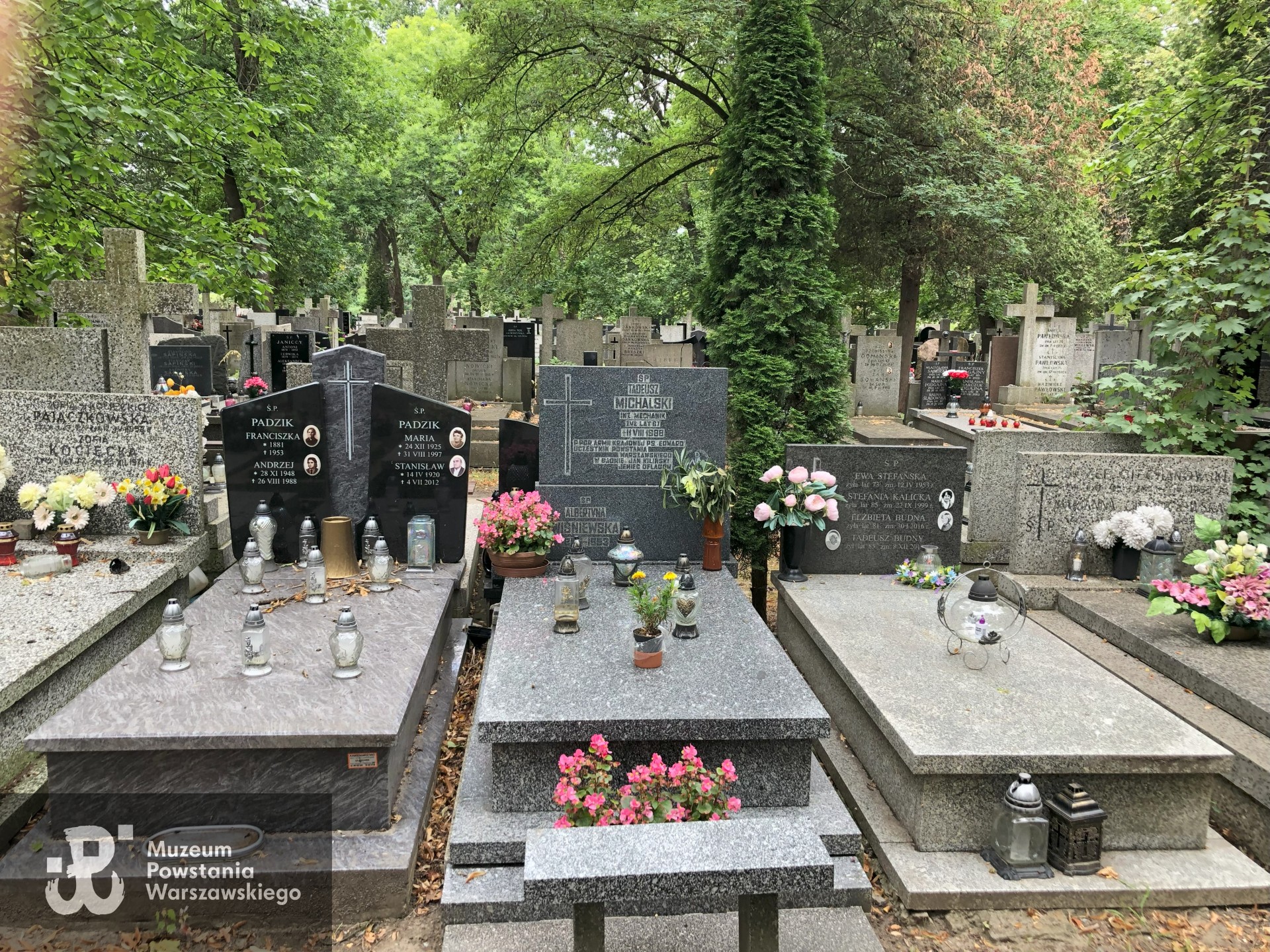 Źródło: Dorota Kotowska.