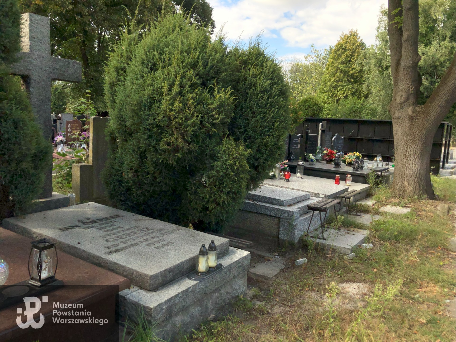 Źródło: Dorota Kotowska.