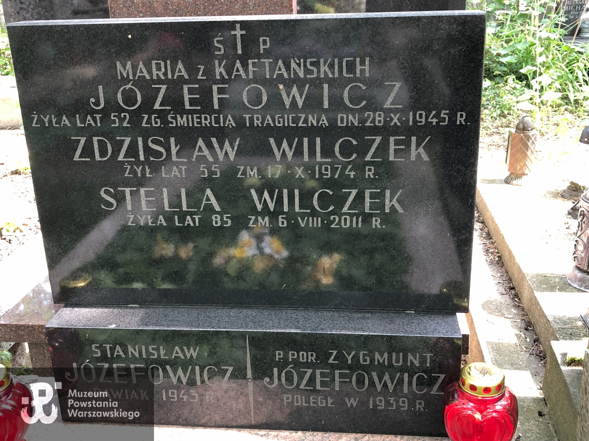 Źródło: Dorota Kotowska.