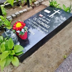 Źródło: https://gdynia.grobonet.com/grobonet/start.php?id=detale&idg=70793&inni=0&cinki=0&infokiosk=true [dostęp: 26.06.2025].