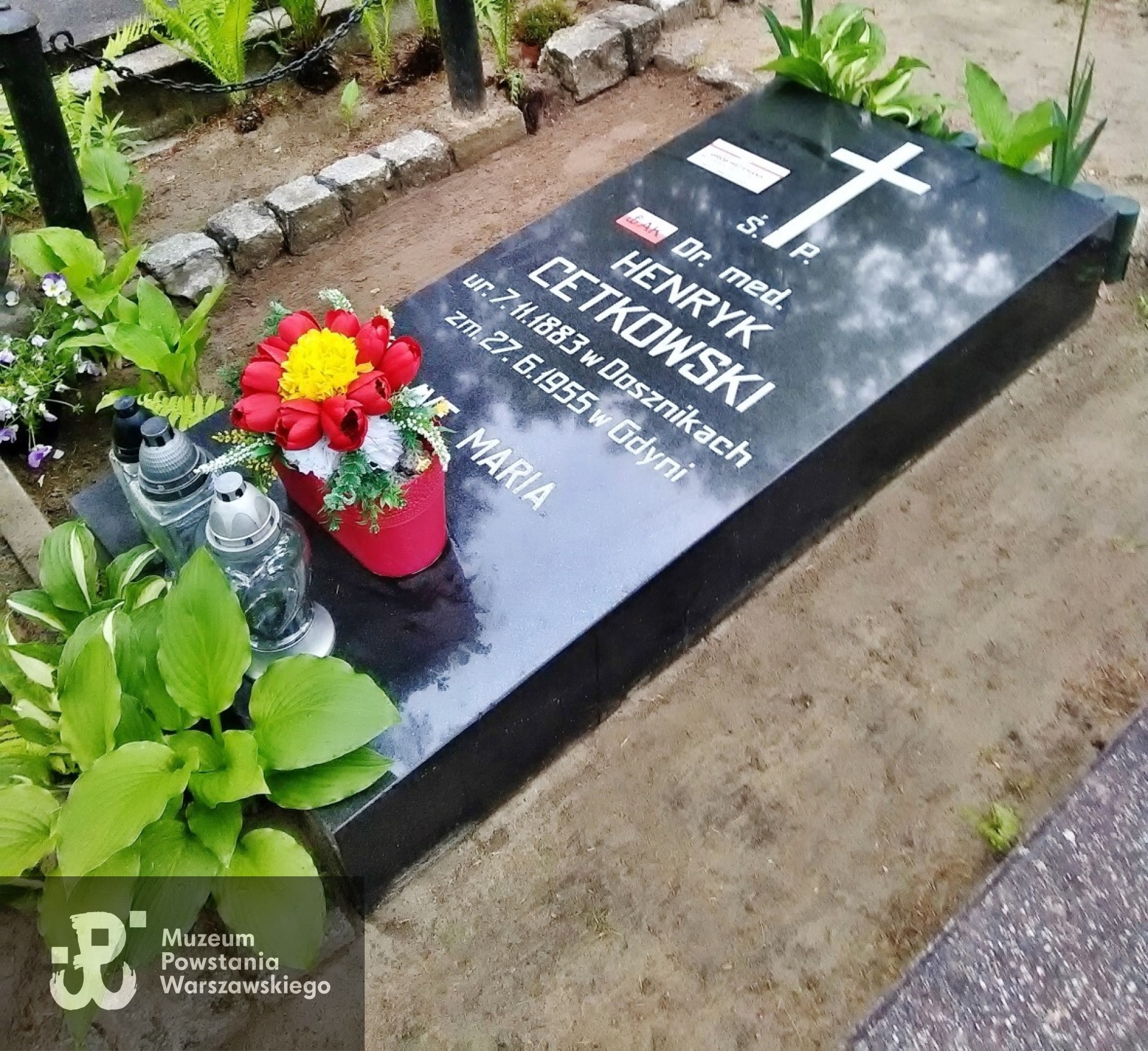 Źródło: https://gdynia.grobonet.com/grobonet/start.php?id=detale&idg=70793&inni=0&cinki=0&infokiosk=true [dostęp: 26.06.2025].