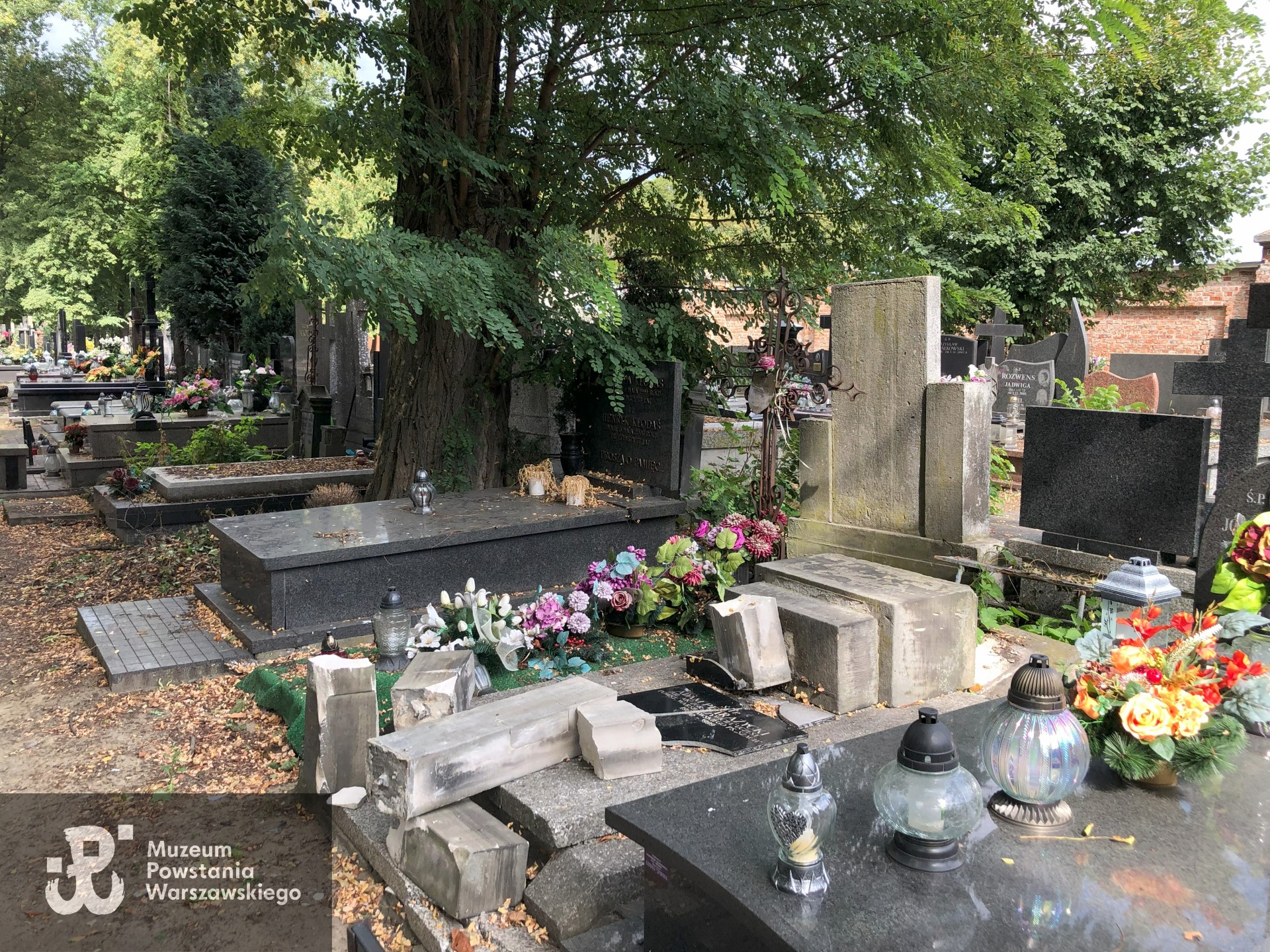 Źródło: Dorota Kotowska.