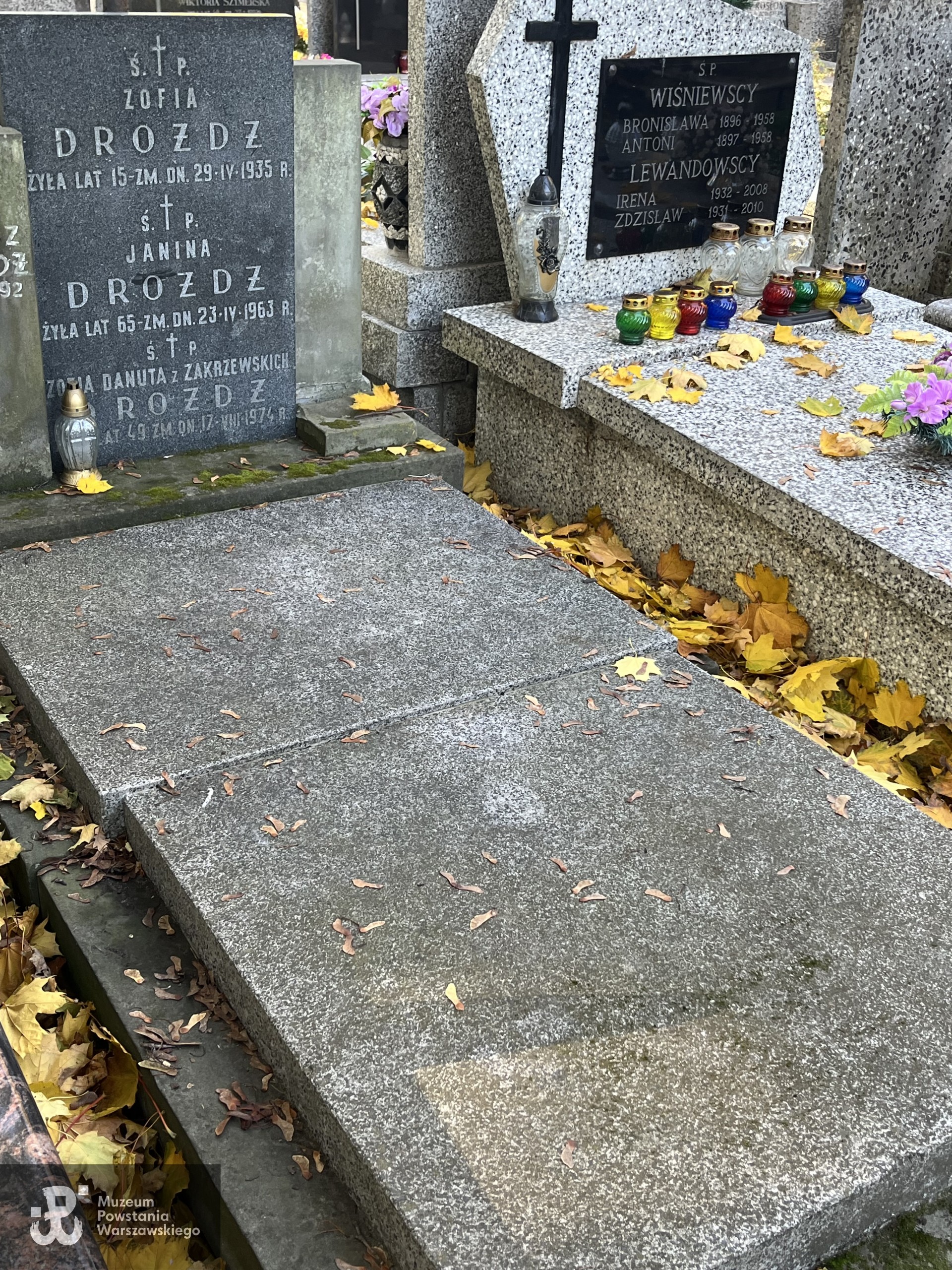 Źródło: Zespół Szkół nr 14 w Warszawie.