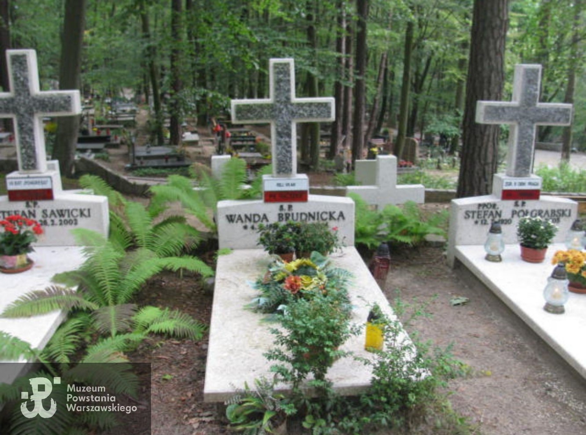 Źródło: https://sopot.grobonet.com/grobonet/start.php?id=detale&idg=17237 [dostęp: 10.06.2025].