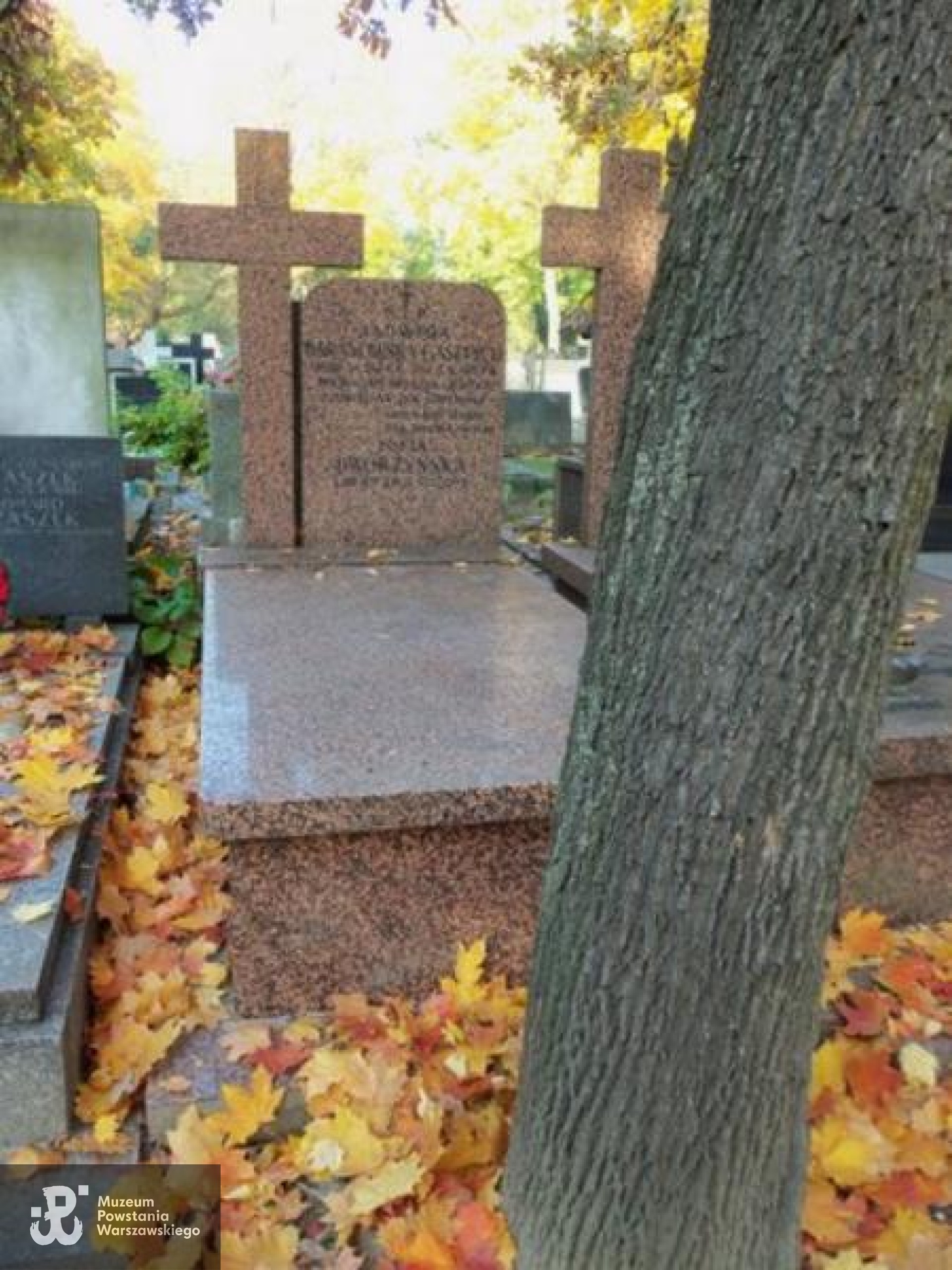 Źródło: https://cmentarze.um.warszawa.pl/pomnik.aspx?pom_id=28909 [dostęp: 09.05.2025].