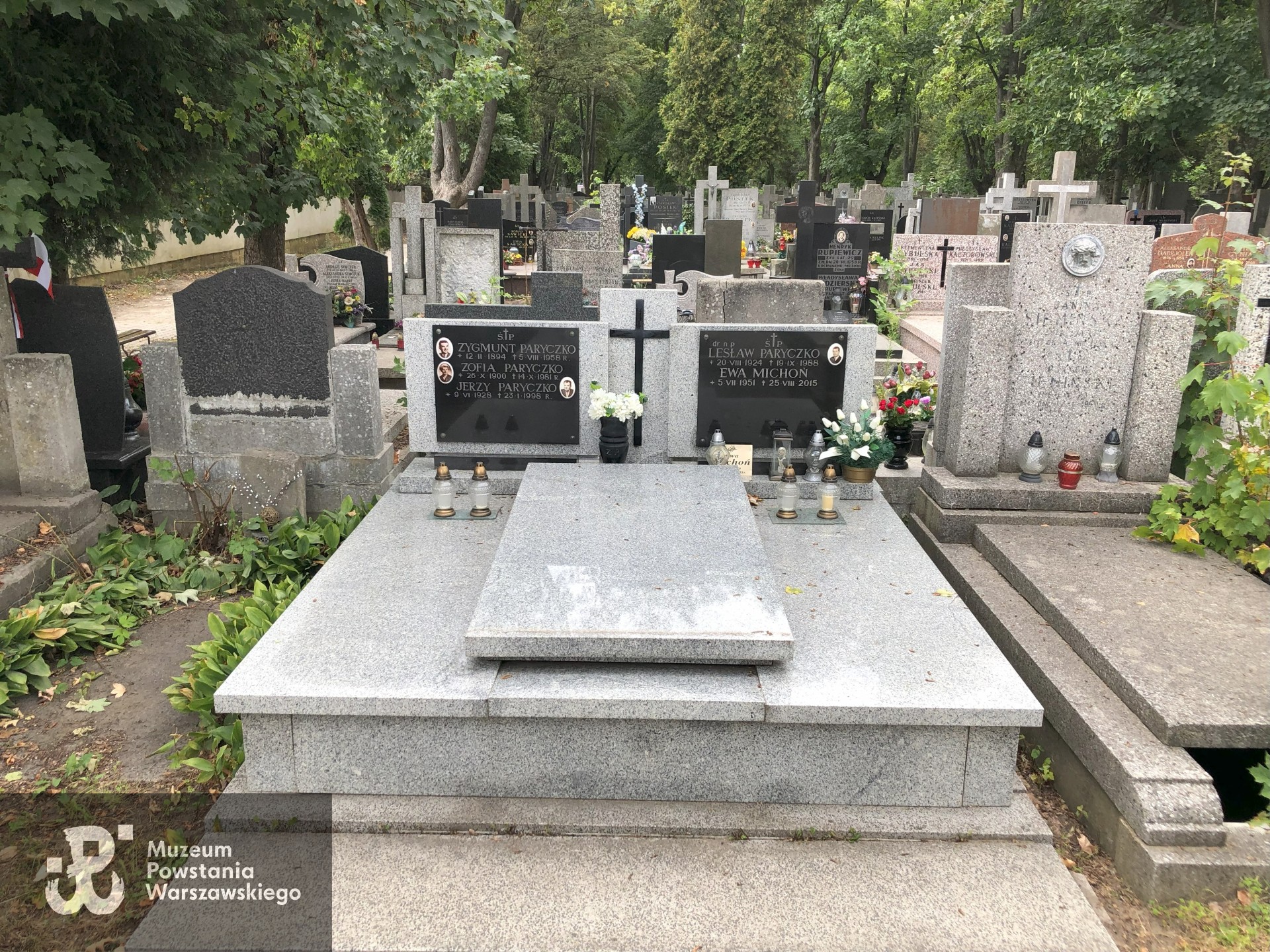 Źródło: Dorota Kotowska.