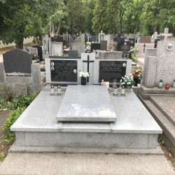 Źródło: Dorota Kotowska.