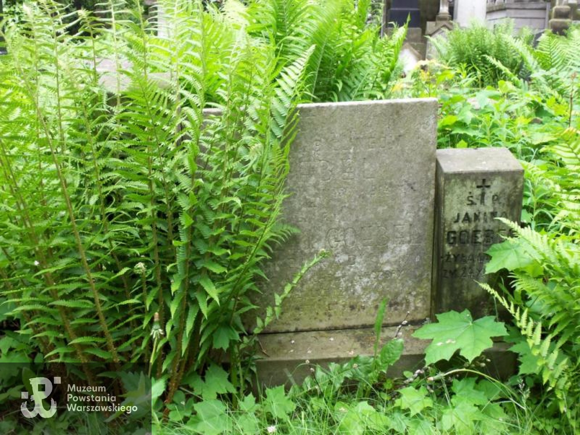Źródło: https://cmentarze.um.warszawa.pl/pomnik.aspx?pom_id=13937 [dostęp: 9.04.2025].