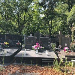 Źródło: Dorota Kotowska.