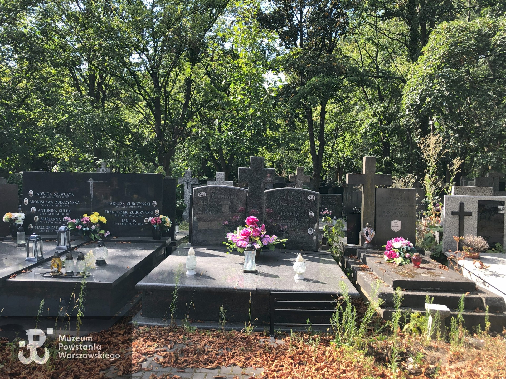 Źródło: Dorota Kotowska.