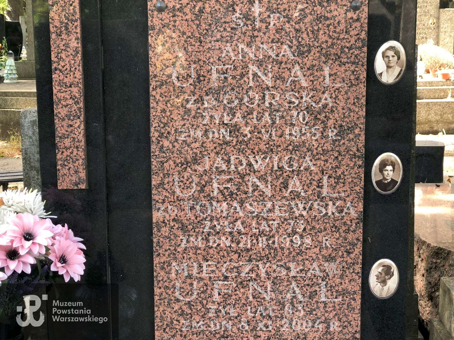 Źródło: Dorota Kotowska.