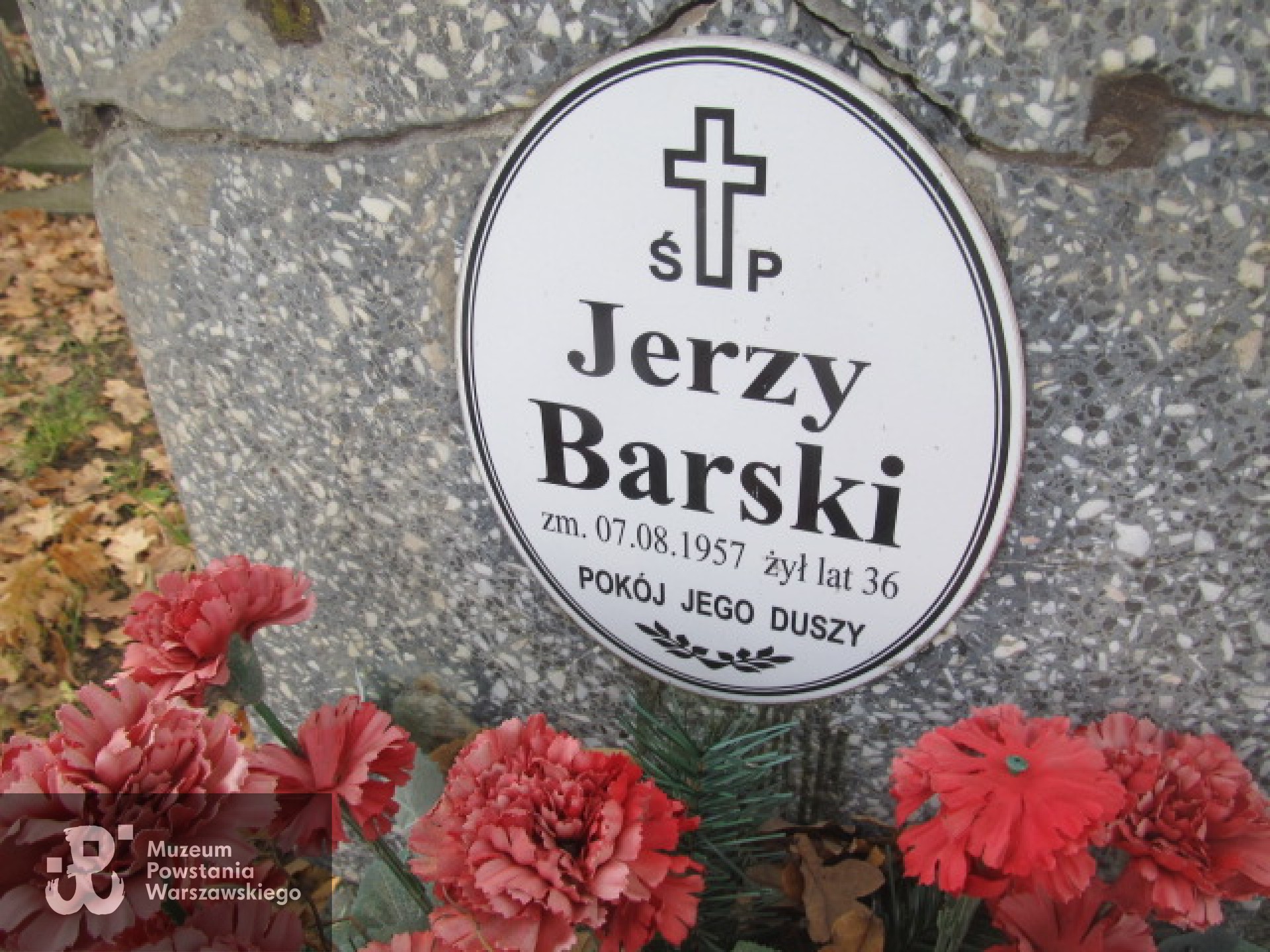 Źródło: https://elk.grobonet.com/grobonet/start.php?id=detale&idg=6342&inni=0&cinki=0 [dostęp: 11.02.2026].