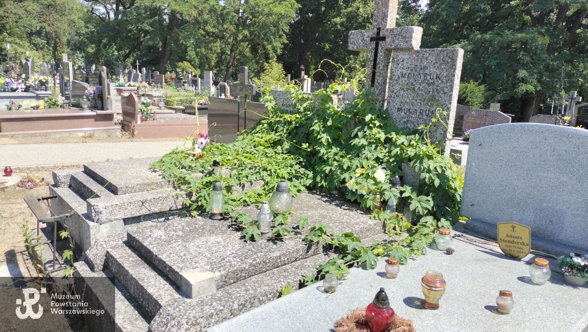 Źródło: Zespół Szkół nr 14 w Warszawie.