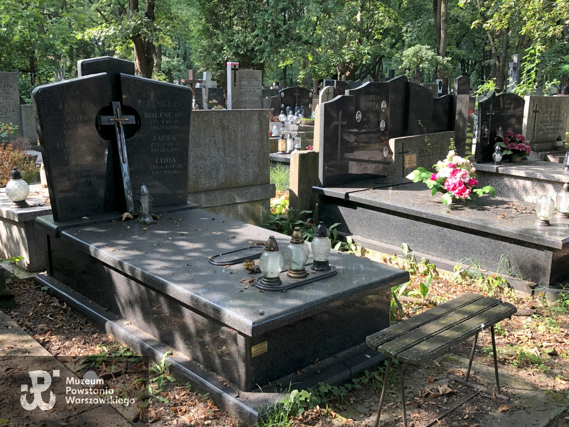 Źródło: Dorota Kotowska.