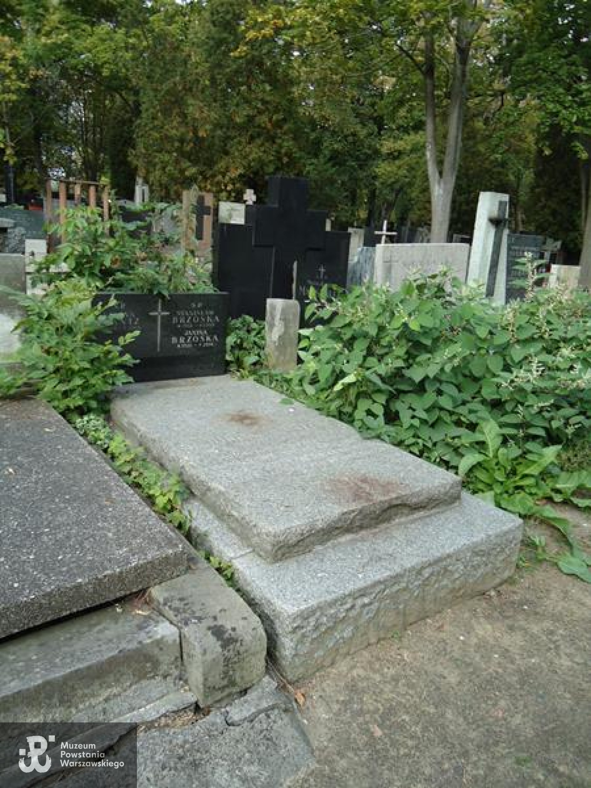 Źródło: https://cmentarze.um.warszawa.pl/pomnik.aspx?pom_id=43855 [dostęp: 9.04.2025].