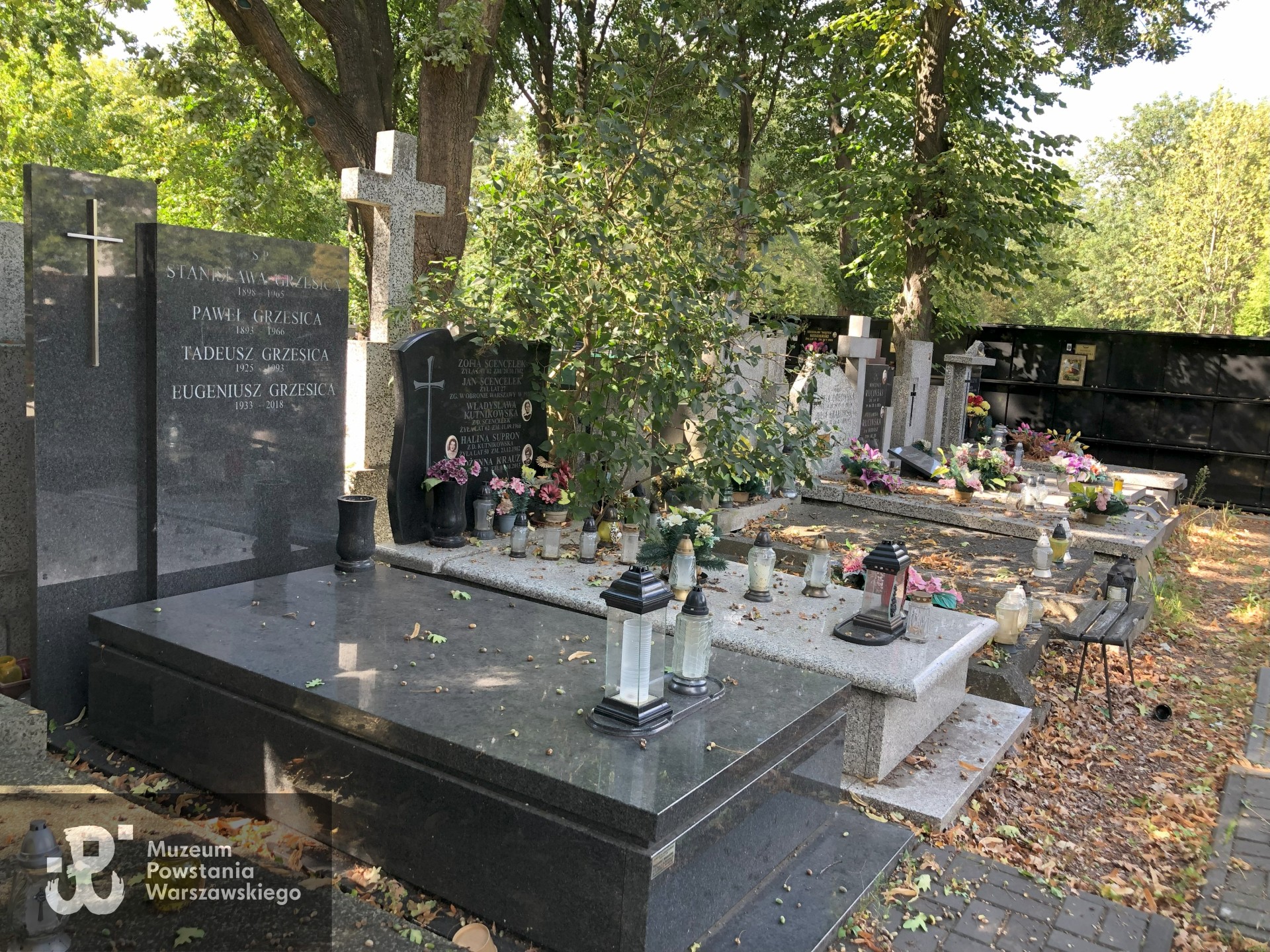 Źródło: Dorota Kotowska.