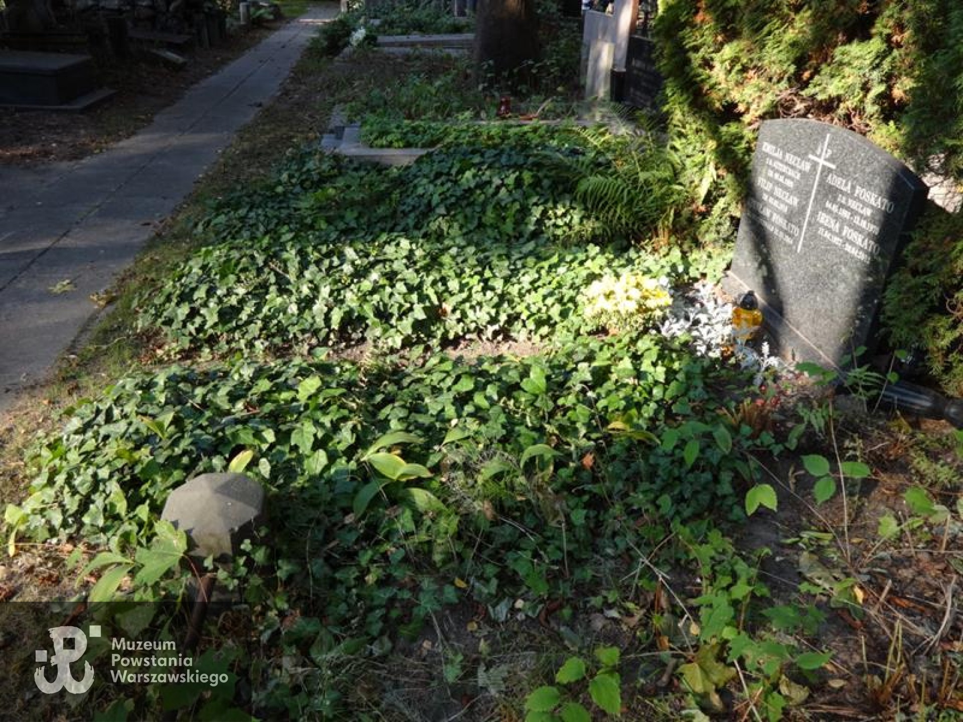 Źródło: https://billiongraves.com/grave/Irena-Foskato/141738566 [dostęp: 29.01.2026].