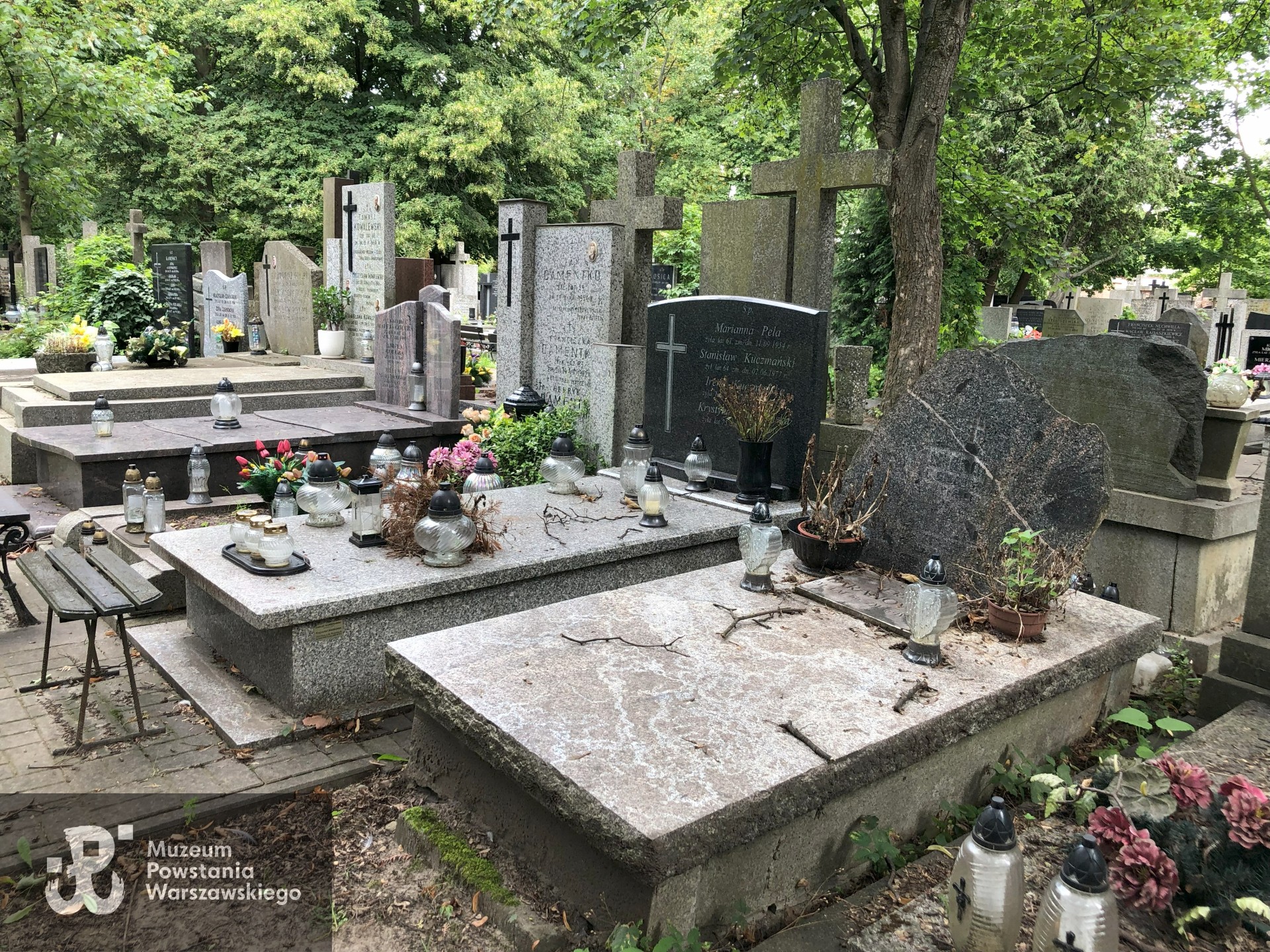 Źródło: Dorota Kotowska.