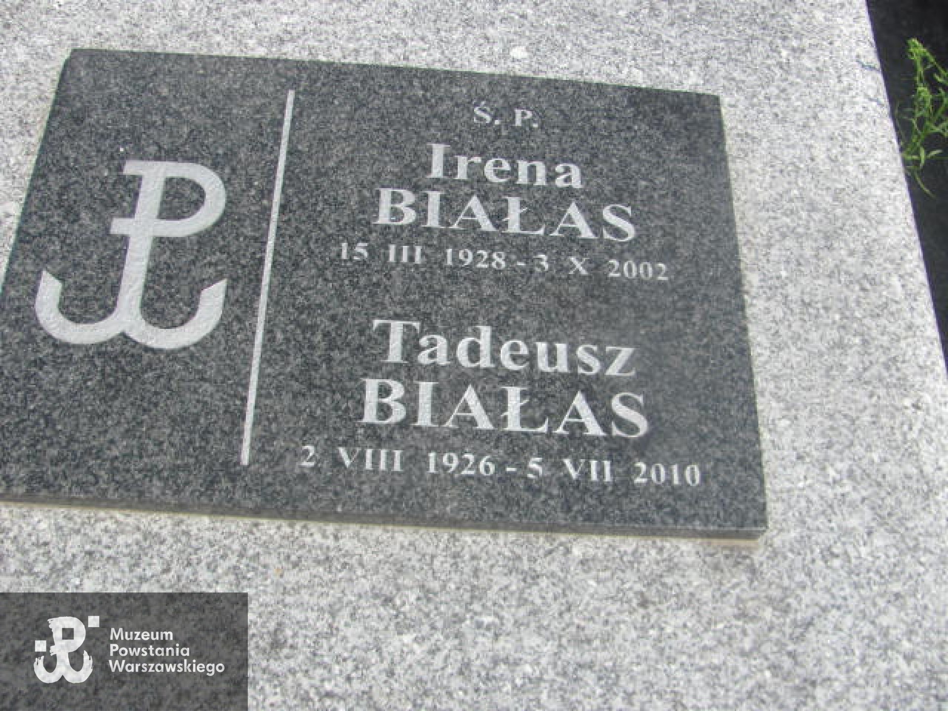 Źródło: https://tarnow.grobonet.com/grobonet/start.php?id=detale&idg=75014502 [dostęp: 20.05.2025].