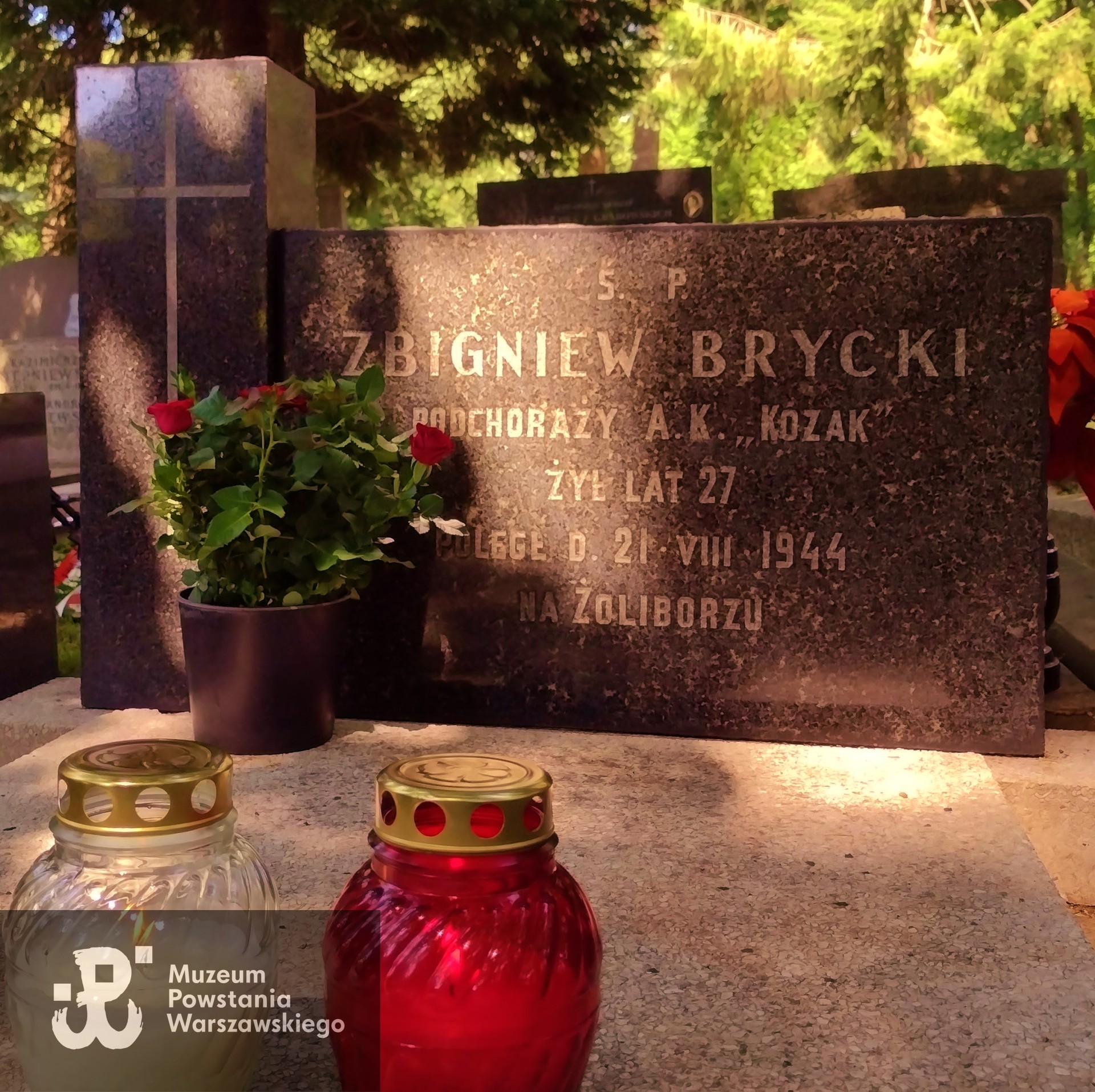 Źródło: https://pl.wikipedia.org/wiki/Zbigniew_Brycki [dostęp: 9.04.2025].