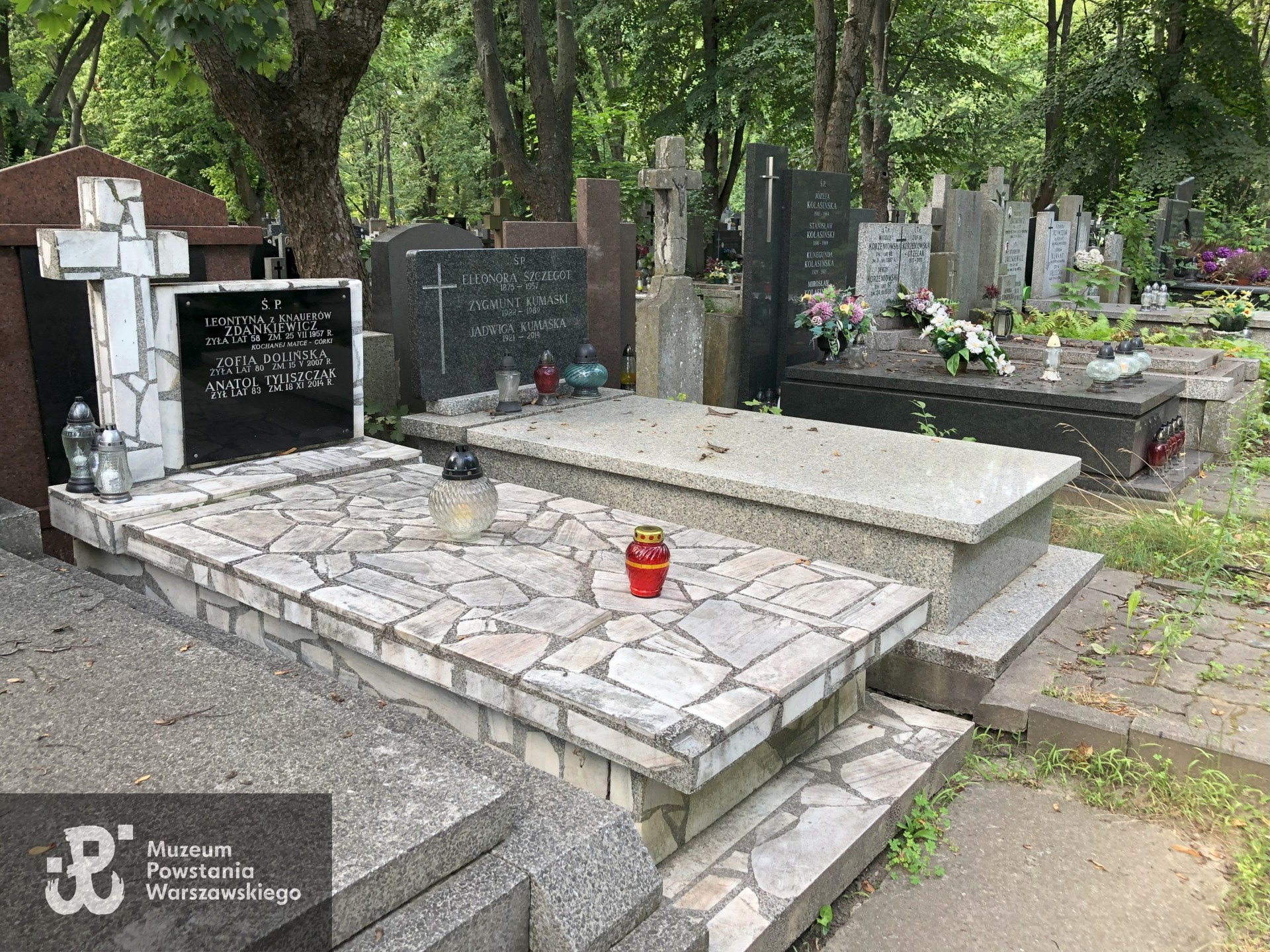 Źródło: Dorota Kotowska.