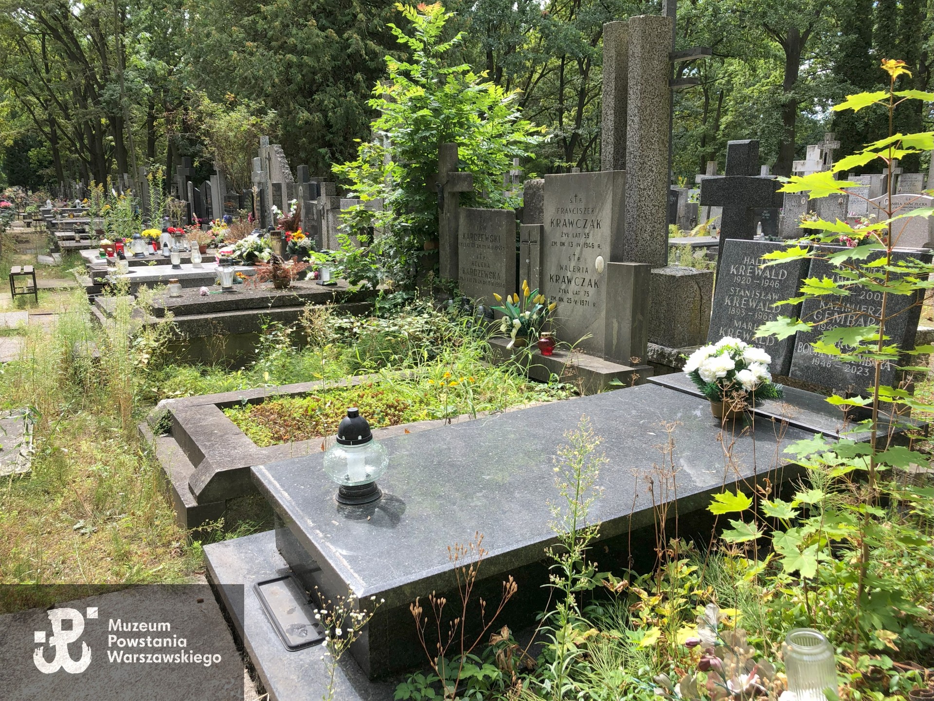 Źródło: Dorota Kotowska.