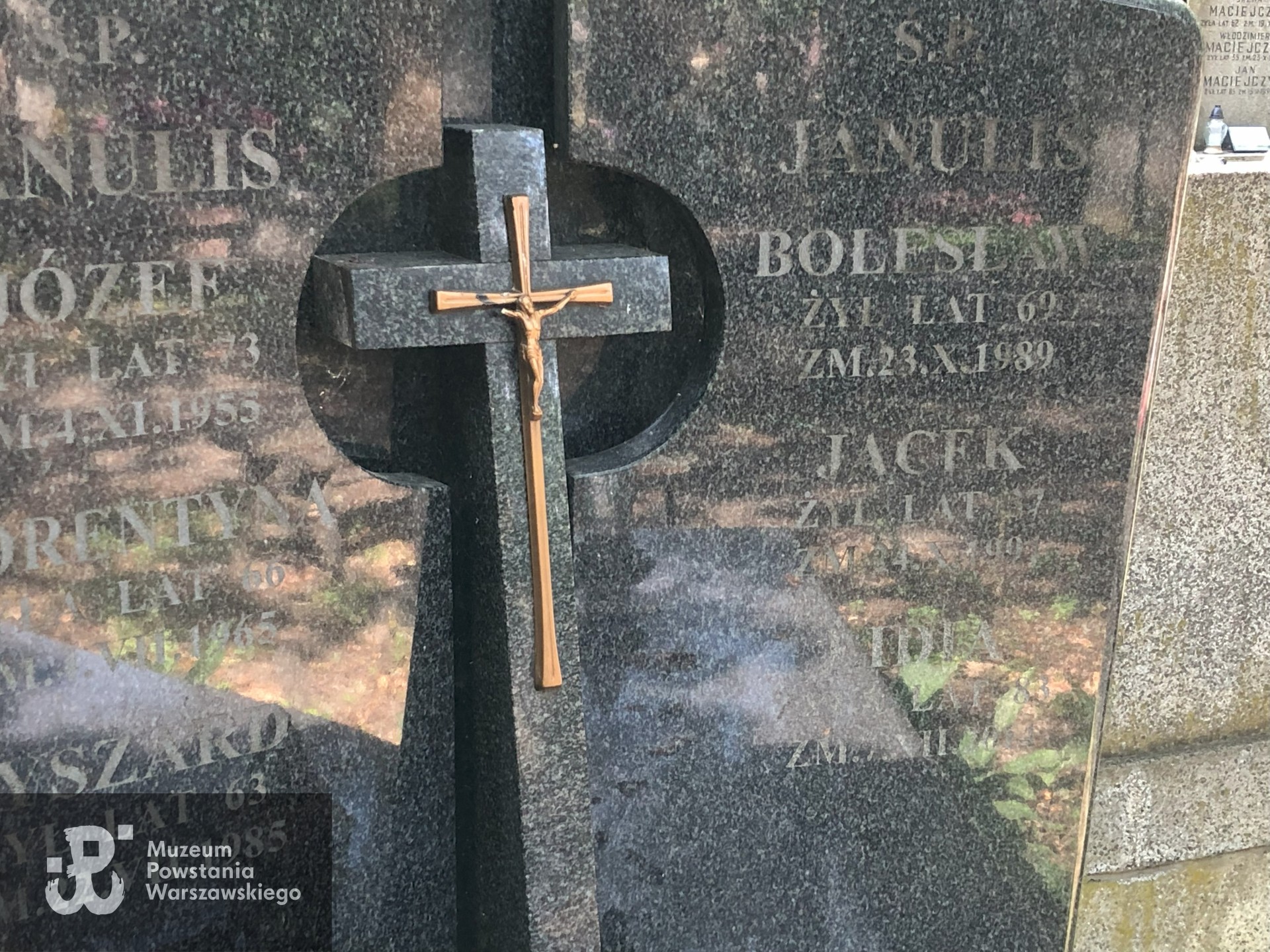 Źródło: Dorota Kotowska.